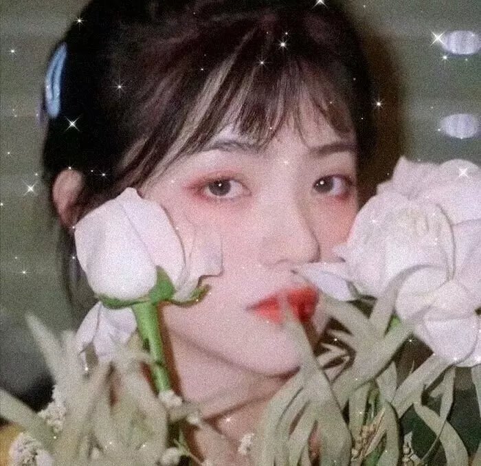 苍蝇王